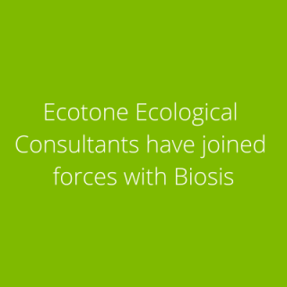 Ecotone Ecological Consultants have joined forces with Biosis