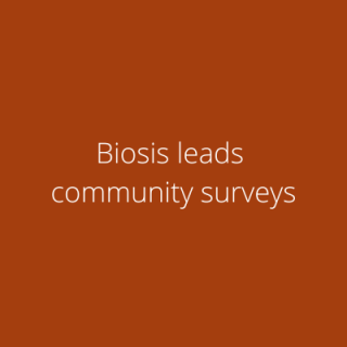 Biosis leads community surveys for the Wadalba Wildlife Corridor